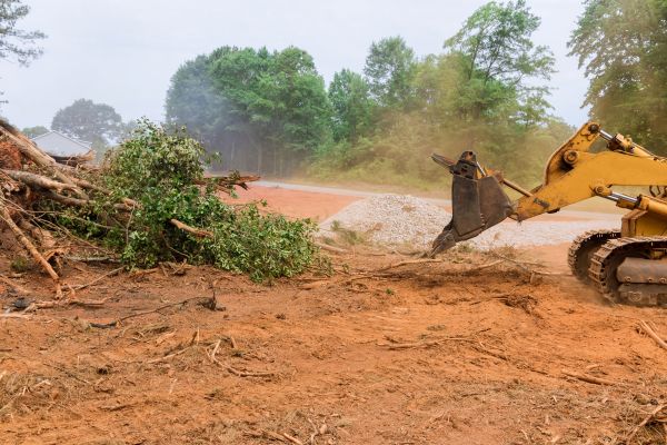 Ground Clearing in Odessa