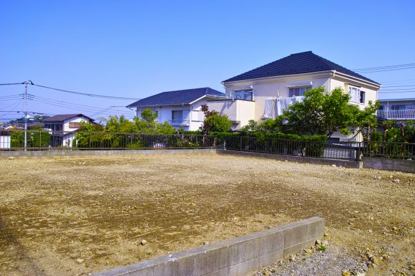 Cost of Lot Clearing Service in Odessa