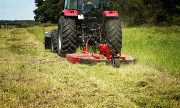 Brush Clearing Service in Odessa