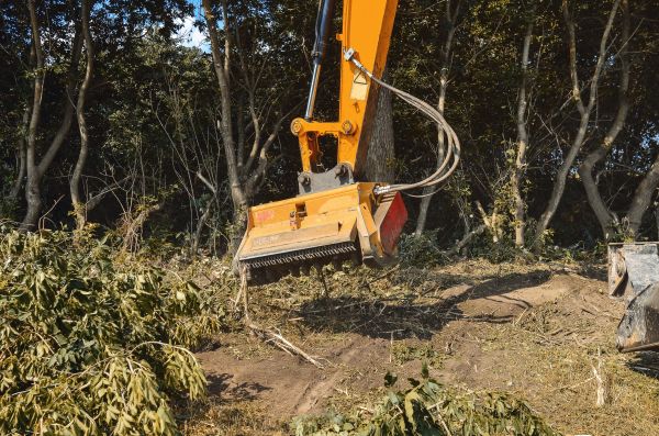 Brush Removal Service in Odessa