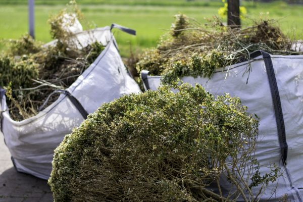 Shrubbery Removal