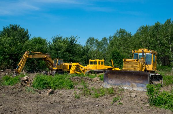 Bulldozer Forestry Clearing
