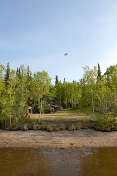Waterfront Land Clearing in Odessa