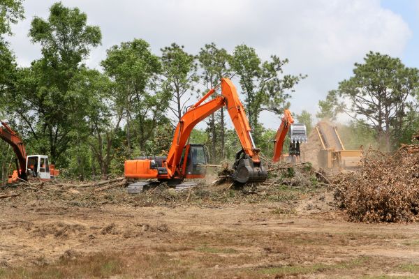 Commercial Lot Clearing in Odessa