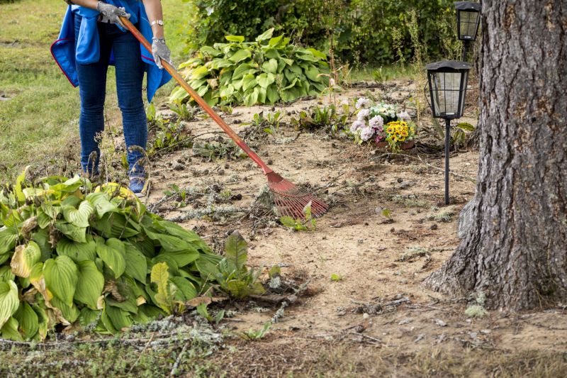 Efficient Vegetation Removal